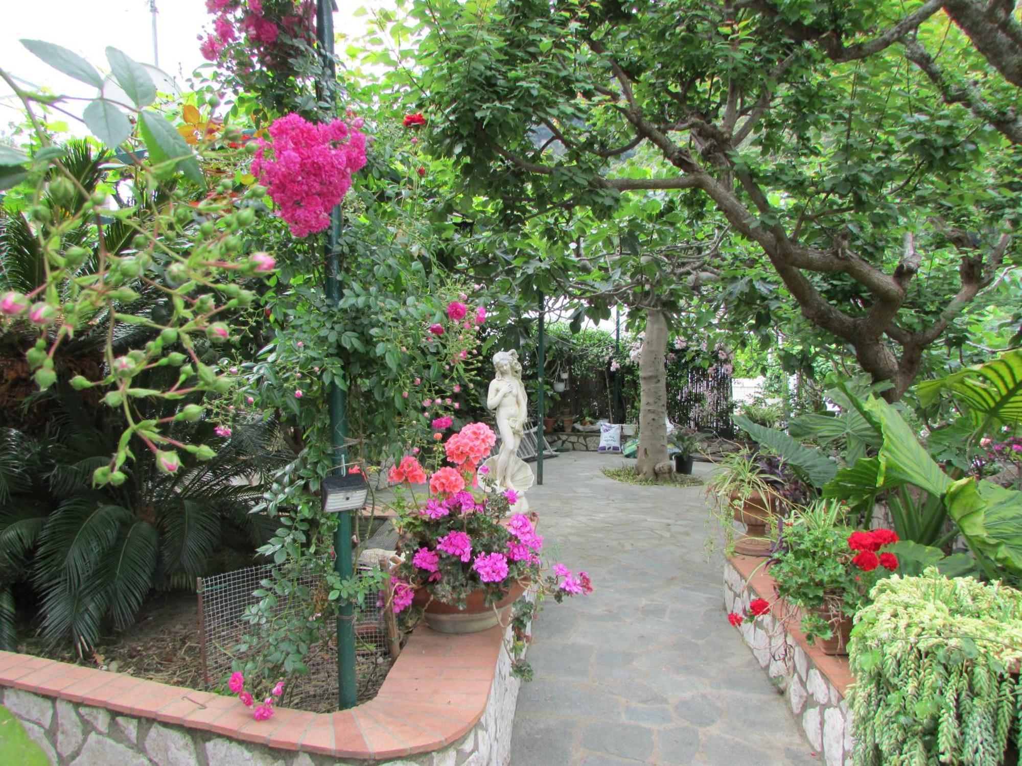 B&B Palazzo A Mare Capri Exterior foto