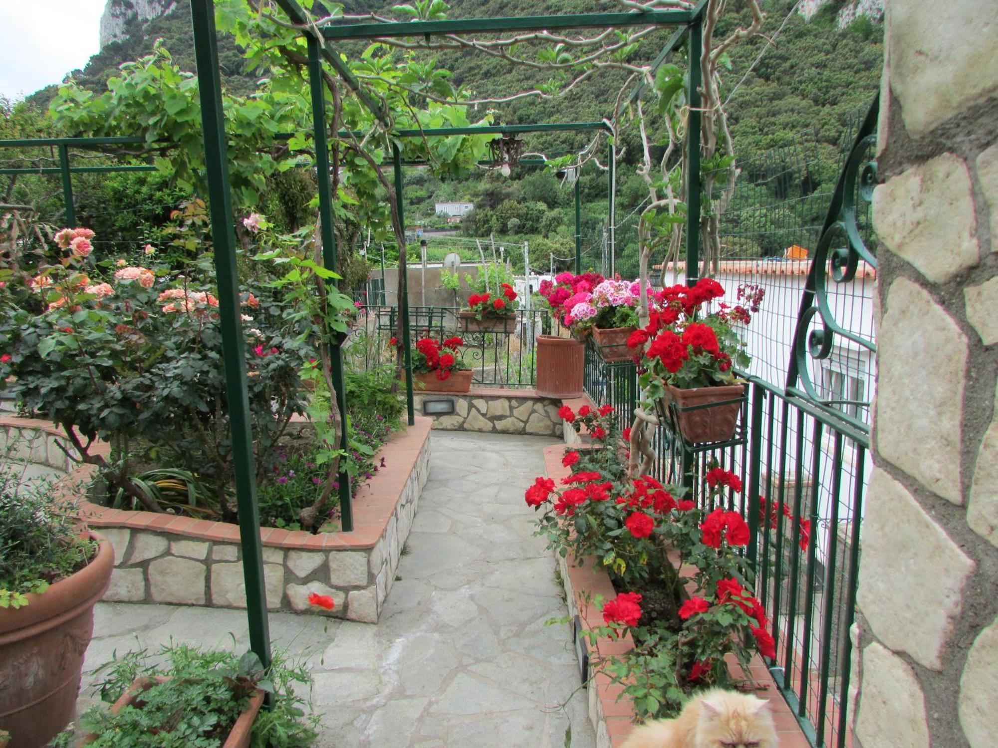 B&B Palazzo A Mare Capri Exterior foto